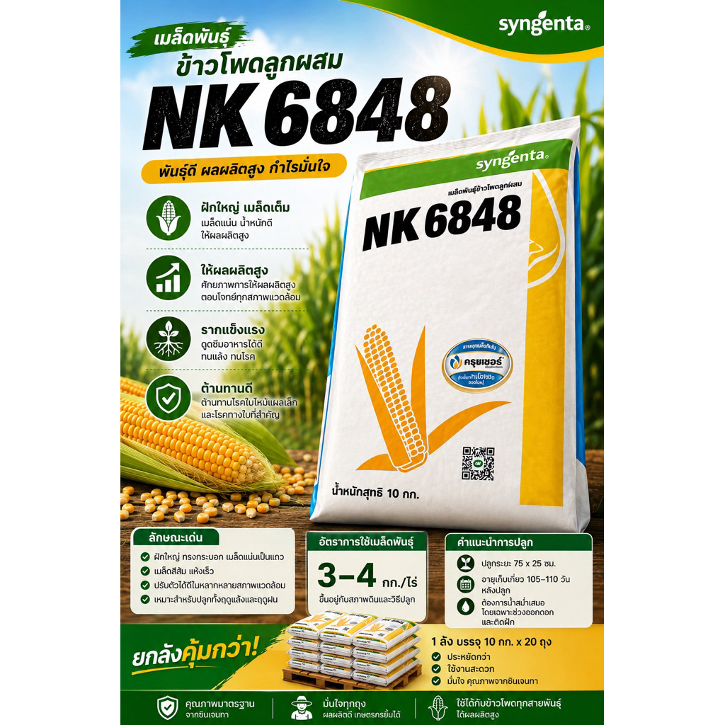 เมล็ดพันธุ์ข้าวโพด NK 6848 10 กก. ทนแล้ง ผลผลิตดี