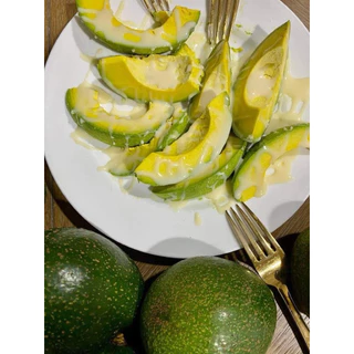 ขายเป็นลูก อโวคาโดพันธุ์บูท 7 ไทย ขายเป็นลูก