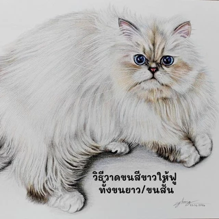คอร์สออนไลน์วาดสัตว์เลี้ยงเหมือนจริงเทคนิคสีไม้