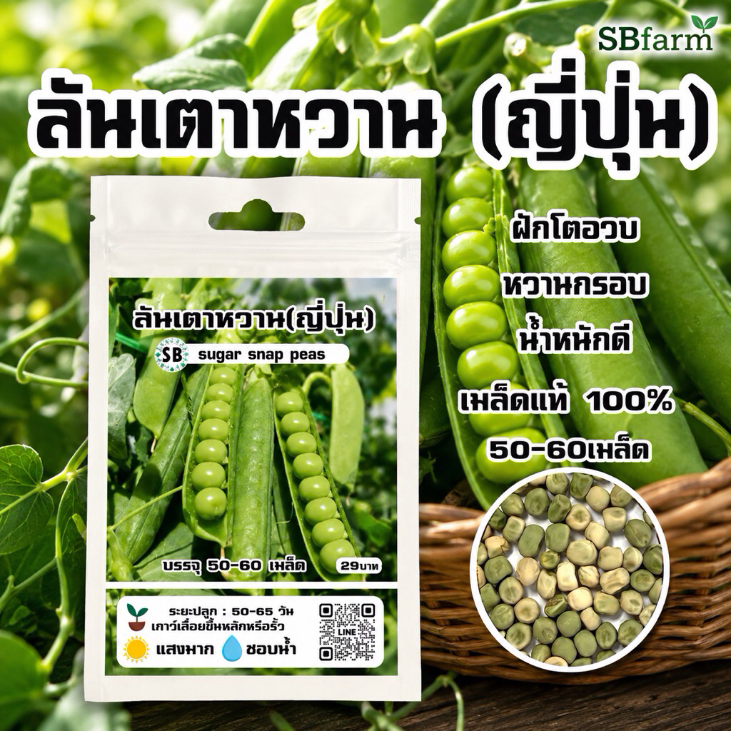 ลันเตาหวาน(ญี่ปุ่น) ฝักอวบ-หวานกรอบ บรรจุ 50-60เมล็ด/ซอง