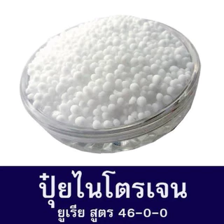 ( 1 กระสอบ 50กิโลกรัม) 46-0-0กระต่าย เจียไต๋ และ 46-0-0วายวีพี