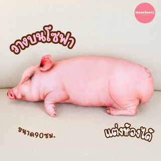หมอนข้างหมู ตุ๊กตาหมู หมอนหมู หมอนข้างหมูตัวใหญ่ 90ซม