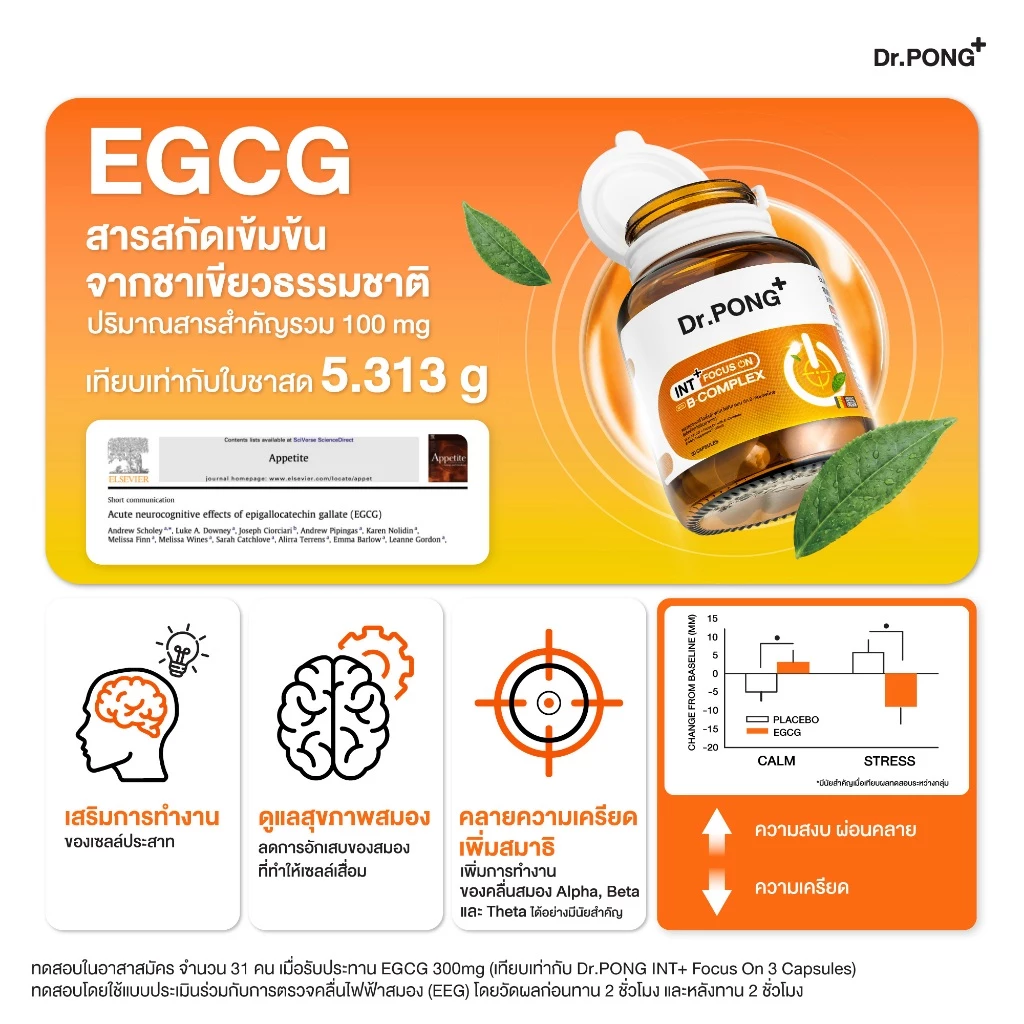[ใหม่!] Dr.PONG INT + Focus On with B-Complex อาหารเสริมช่วยโฟกัส คิดไว เพิ่มสมาธิ เสริมความจำ ทดแทนการดื่มชา กาแฟ thumbnail 7