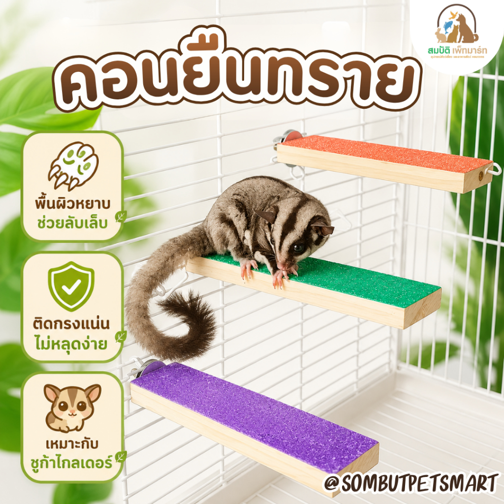 ที่ลับเล็บนกแก้ว สำหรับนกขนาดเล็ก–กลาง ใช้ลับเล็บได้จริง ช่วยลดเล็บยาว เกาะสะดวก ไม่บาดเท้า