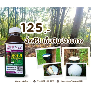 พาราโกลด์ สูตร 3 (ขนาดทดลอง) เพิ่มน้ำยางได้มากถึง 2เท่า รักษาหน้ายาง ขยายท่อน้ำยาง และสร้างความสมบูรณ์ ป้องกันเชื้อรา