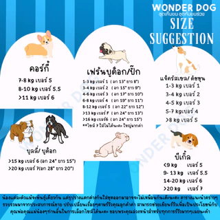 ชุดเก็บขน wonder dog เสื้อสุนัข เสื้อแมว ชุดกันขนร่วงสุนัข ชุดสัตว์เลี้ยง โทนสีแดง