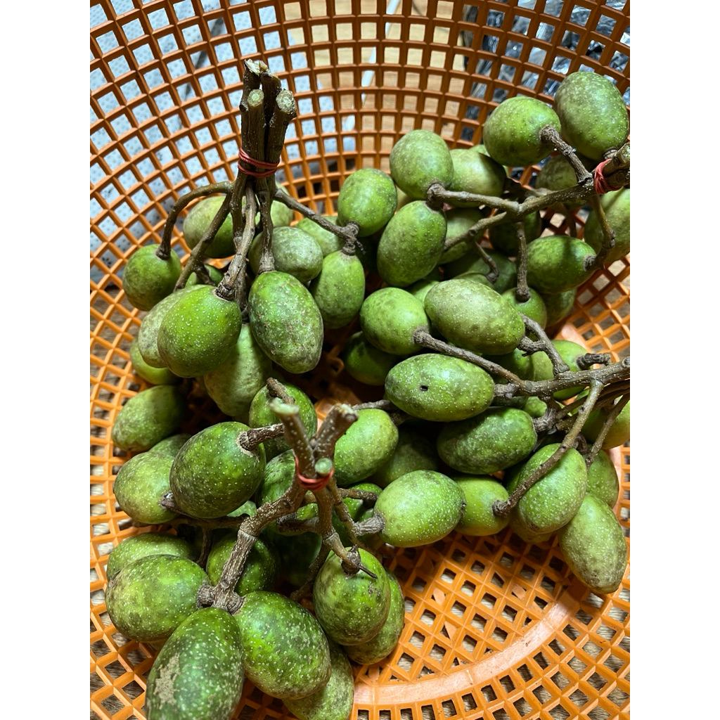 มะกอกป่าดิบ ใส่ส้มตำ ขนาด 500 กรัม