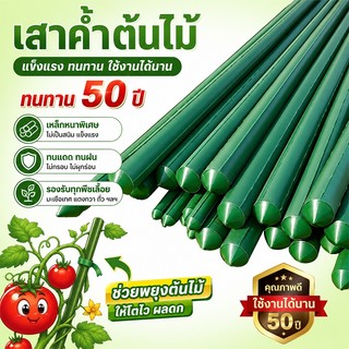 ใช้งาน 50 ปีก็ไม่พัง ไม้ค้ำต้นไม้ยาว ไม้ค้ำต้นไม้ หลักไม้ค้ำ เสามะเขือเทศ เสาค้ำต้นไม้ ไม้ค้ำยันต้นไม้ เสาปลูกผั