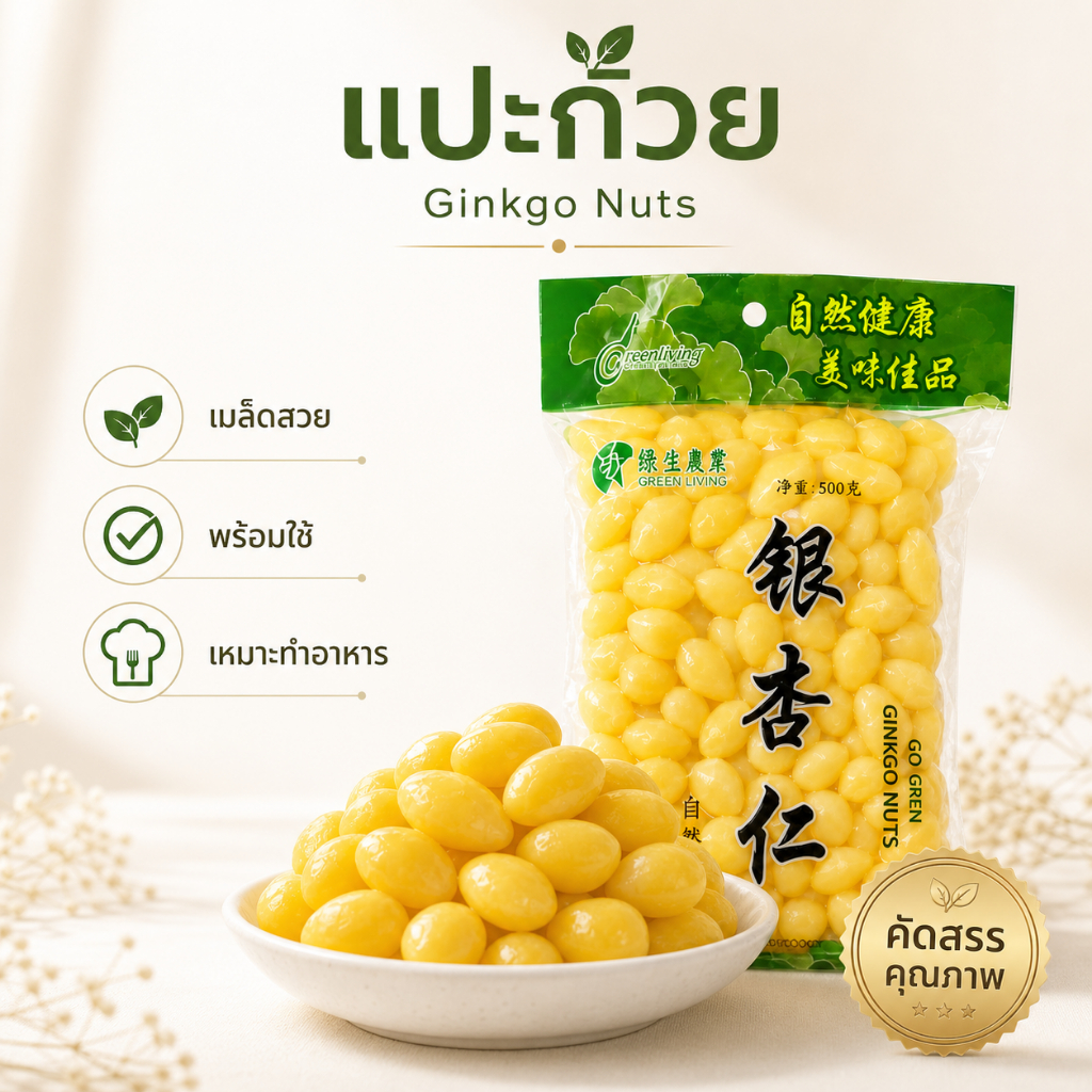 Ships immediately！แปะก๊วยสด เม็ดใหญ่ ไม่ดำ | ไม่ต้องแทงไส้ ไม่ขมแม้ไม่ออก | คัดเกรด บำรุงสมอง Ginkgo Nuts
