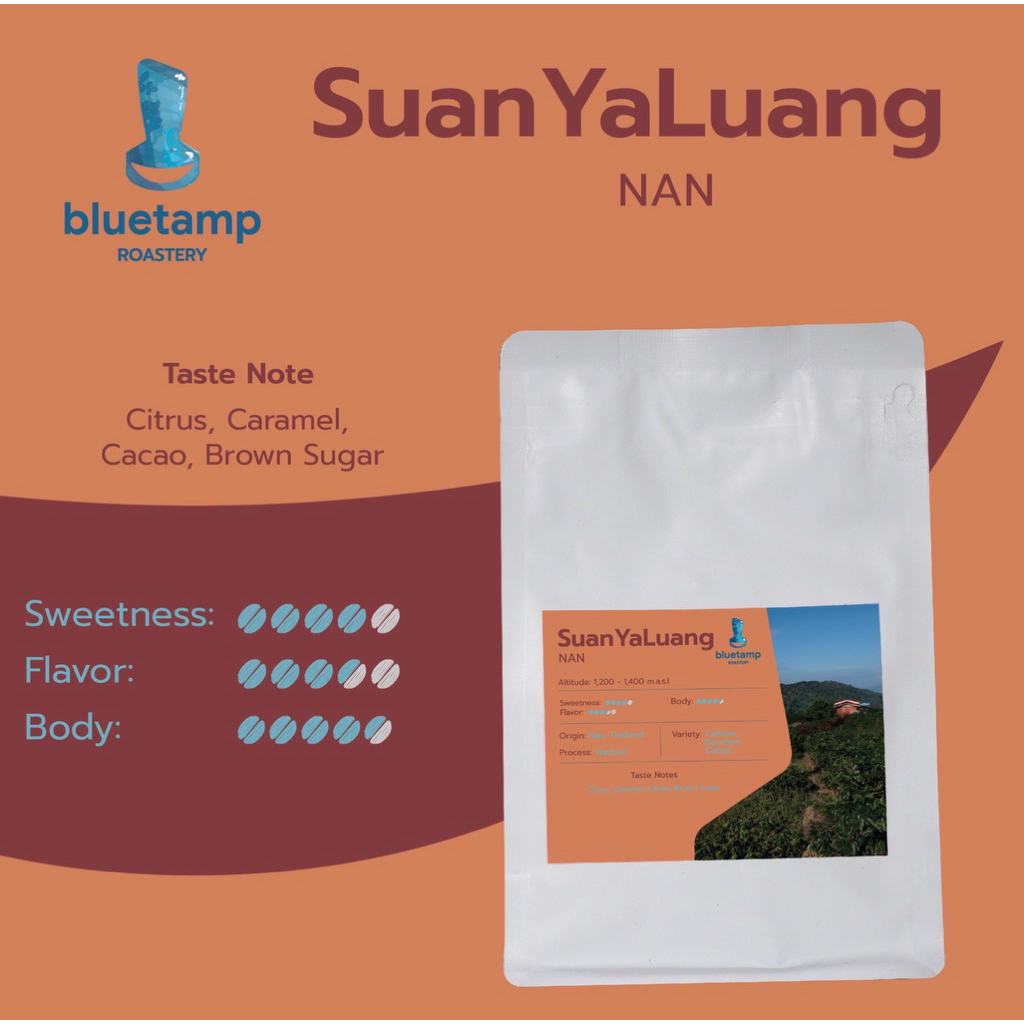 Suan Ya Luang Washed | สวนยาหลวง น่าน