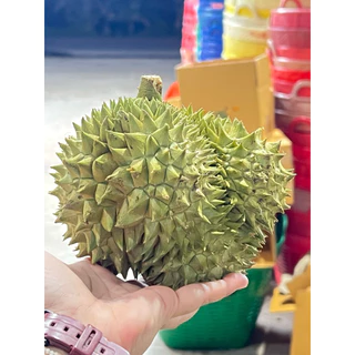 ทุเรียนเบอร์ดอกเล็กจิ๋วขนาด 5-8 ลูก เซ็ตน้ำหนัก 5 กิโลกรัม