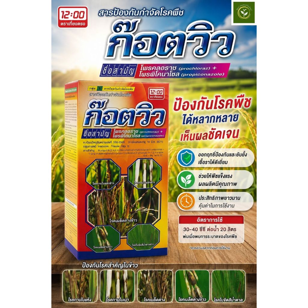 ก๊อดวิว ( ตราเที่ยงตรง ) 500 CC ป้องกันและกำจัดโรคเชื้อราในข้าว และเมล็ดด่างในข้าว