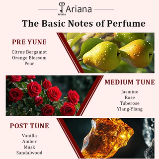 Ariana Sexy Ready Night Eau De Parfum 100ml, Unique golden leg-shaped cap design, round glass bottle with rich red perfu