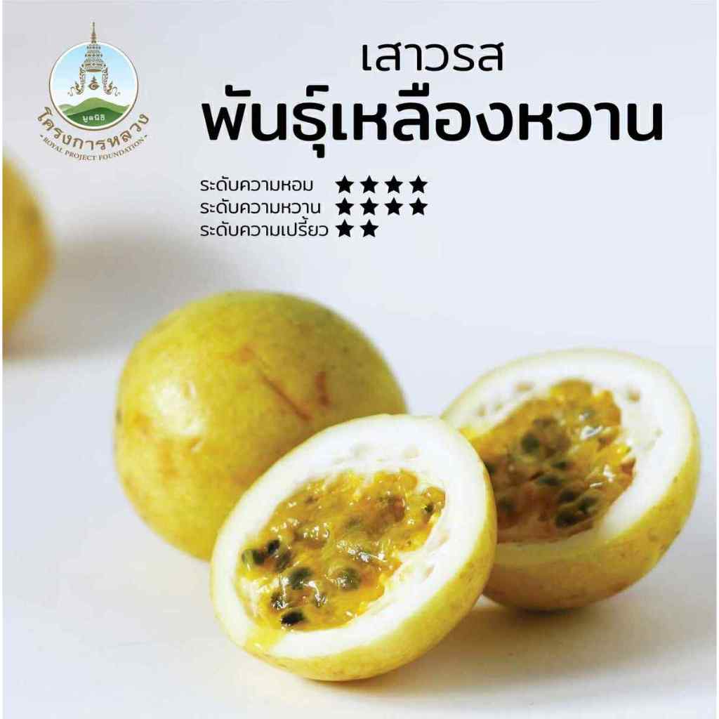 【 1กิโล 】เสาวรสเหลืองหวาน กลิ่นหอม🐝 เบอร์C มีติดแผล ไม่กระทบต่อด้านใน (ชั่งรวมกล่อง) honey golden