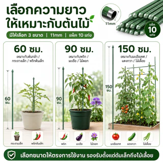 HANATEK ไม้ค้ำต้นไม้ 10 แท่ง เสามะเขือเทศ หลักไม้เลื้อย 11 มม. 60-150 ซม. ทำค้างผัก DIY