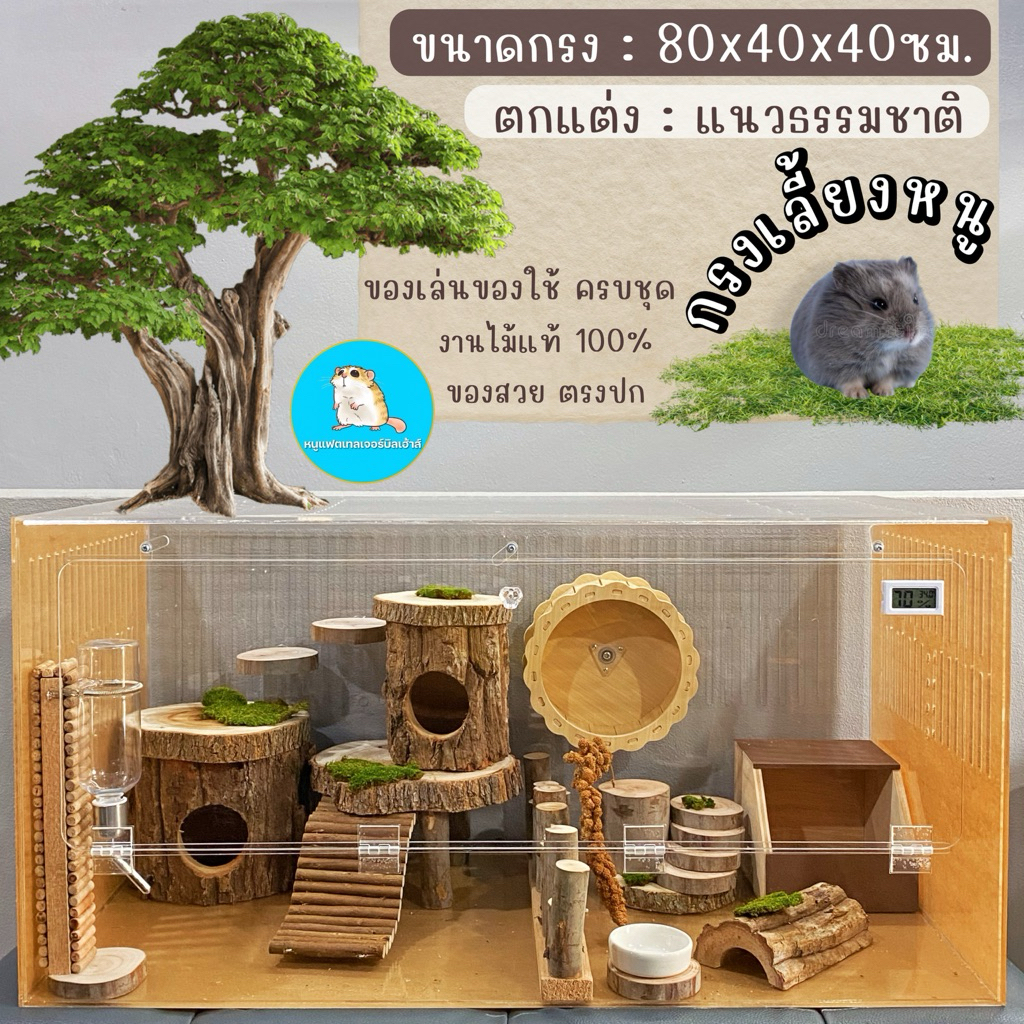 🐹กรงหนูอะคริลิค สำหรับเลี้ยงหนูทุกสายพันธุ์ ขนาด80x40x40ซม. / แฮมเตอร์ ไจแอนท์ วินเทอร์ไวท์ หนูแฟตเท