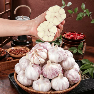 กระเทียมหัว และ กระเทียมกลีบ ลูกใหญ่ กลิ่นหอมเข้มข้น มี 500g/1kg ส่งฟรี มีบริการส่งด่วน ใช้ปรุงอาหารทุกเมนู