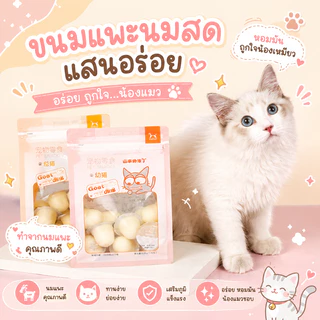 🌵 พุดดิ้งแมว ขนมแมว พุดดิ้งสัตว์เลี้ยง นมแมว 1ซอง15ชิ้น สำหรับแมวทุกวัย 🌵