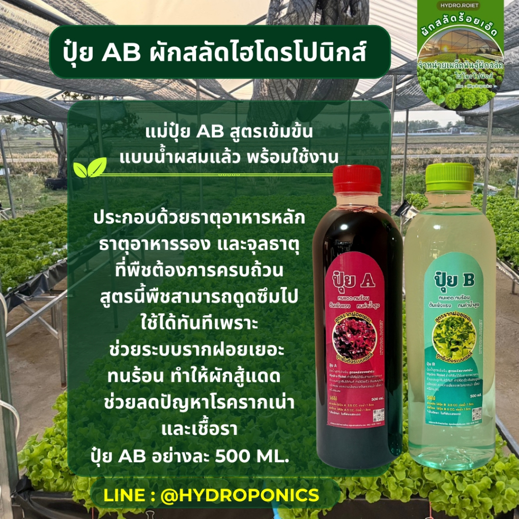 แม่ปุ๋ย AB เข้มข้น แบบน้ำผสมแล้ว ขวด 500ml ระบบรากฝอย