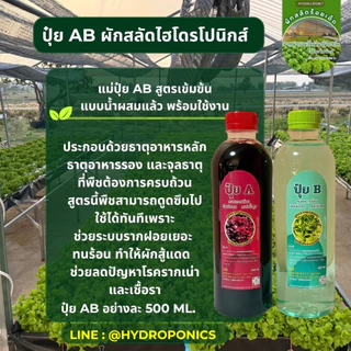 แม่ปุ๋ย AB เข้มข้น แบบน้ำผสมแล้ว ขวด 500ml ระบบรากฝอย