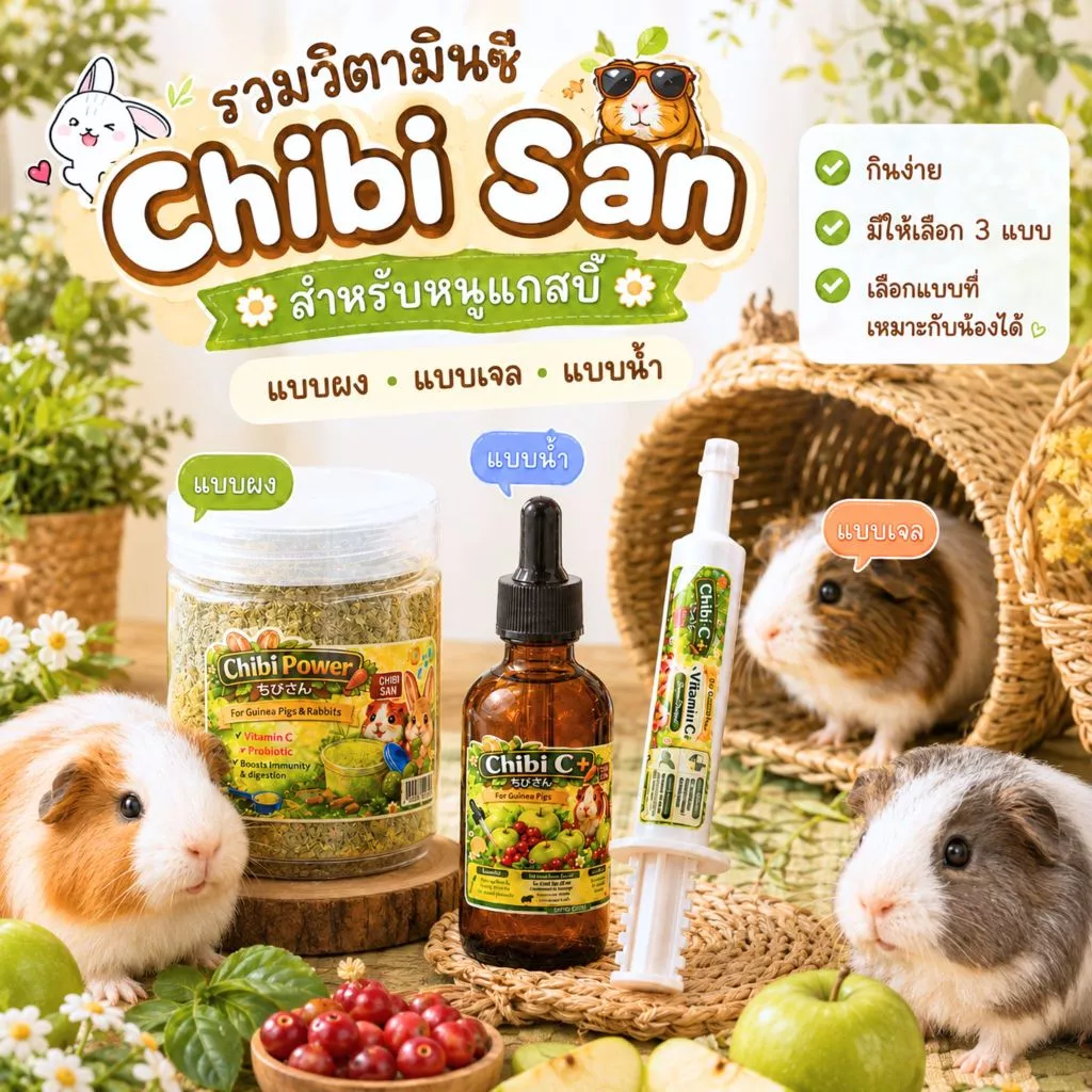 วิตามินซีสำหรับหนูแกสบี้ Chibi San แบบผง แบบน้ำ แบบเจล มี 3 รูปแบบ
