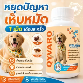หมดปัญหาเห็บหมัด Qyvaro ป้องกันเห็บหมัด ลดคัน ขนร่วง กินง่าย เดือนละครั้ง