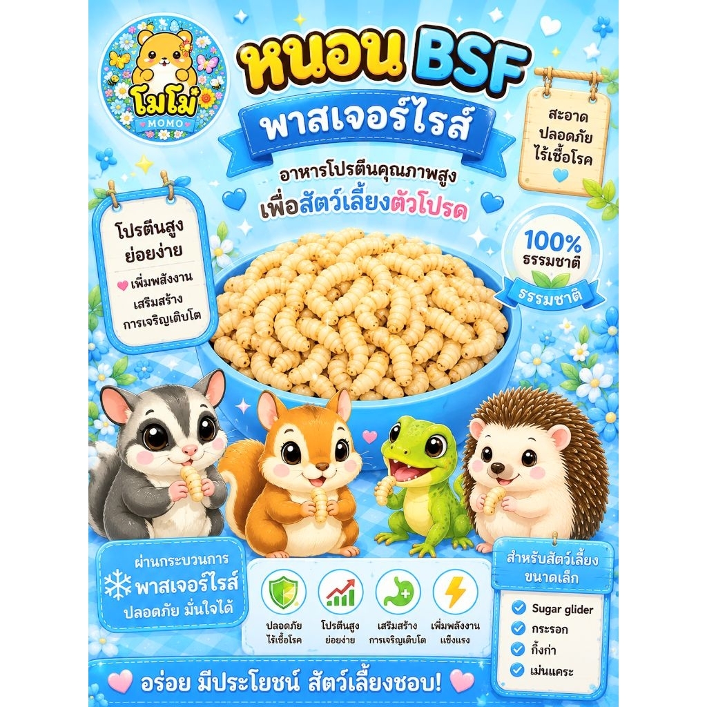 หนอนแมลงวันลาย หนอน bsf พาสเจอร์ไรส์