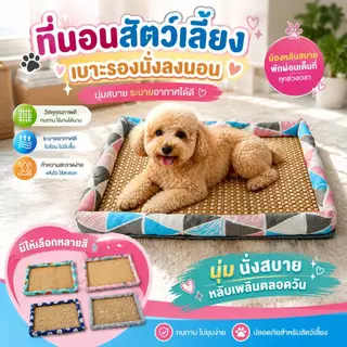 Boqi Factory ที่นอนสัตว์เลี้ยง เสื่อหวายระบายอากาศ เบาะรองนั่งนองนอน สุนัขและแมว Haki