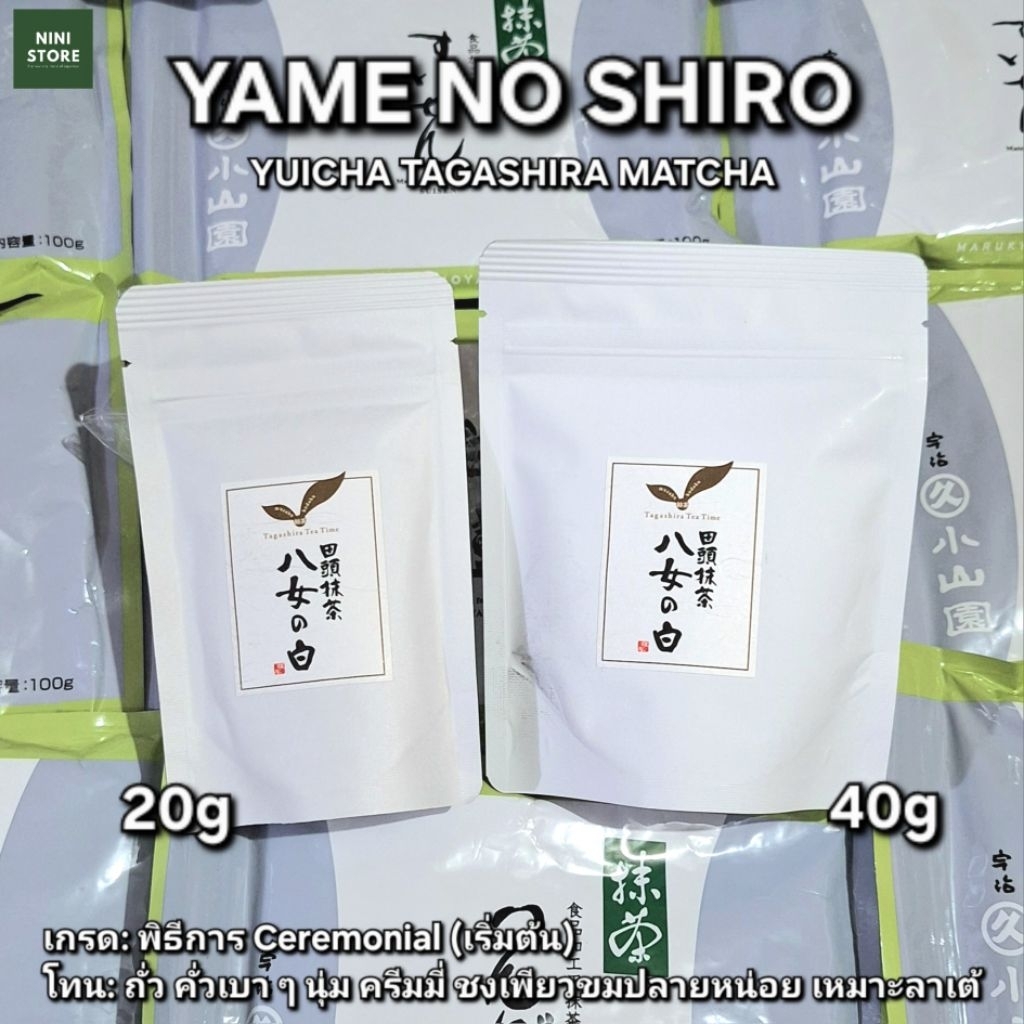 [พร้อมส่ง] มัทฉะ Yame no Shiro (หมู่บ้าน Hoshino) จาก Yuicha Tagashira เกรดพิธีการ 20g 40g 1 ถุง | m