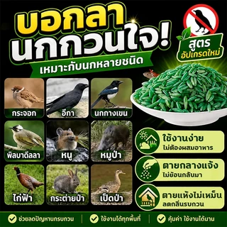 บอกลาขี้นกที่กวนใจ ยาเบื่อ นกพิราบ ยาฆ่านกพิราบ ทำลายอวัยวะภายในตายใน 1วัน แห้งเร็วและไม่มีกลิ่น เหยื่อกำจัดนกพิราบ