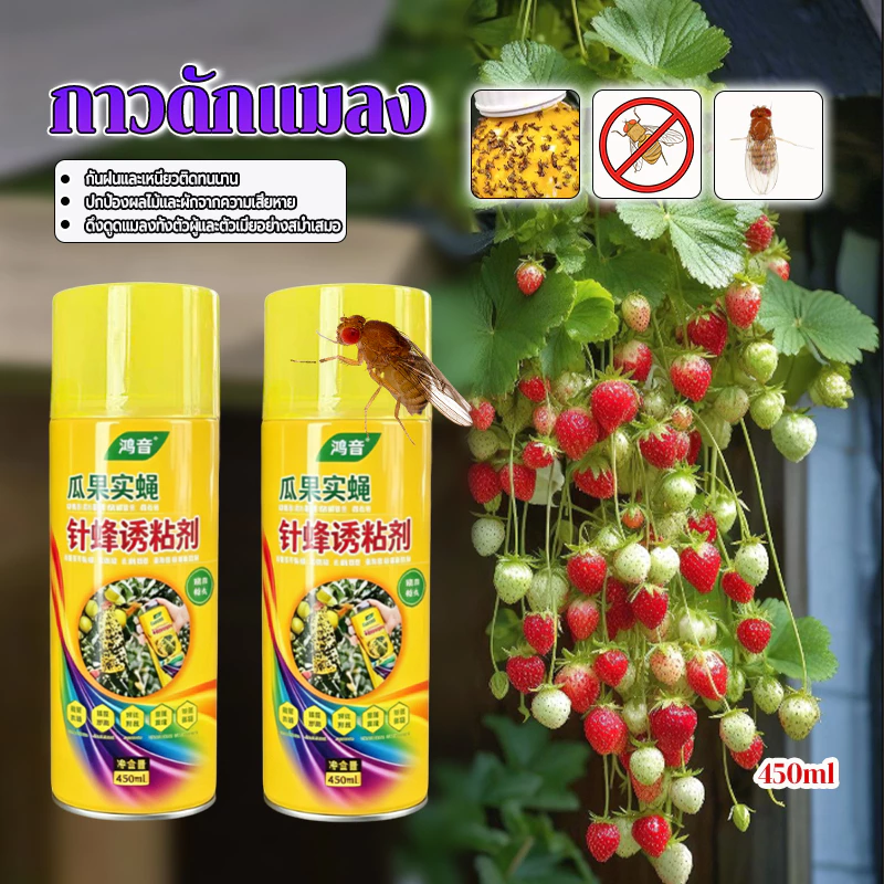 กาวดักแมลง สารล่อแมลงวันทอง 450ml ดักแมลงหวี่ เมทลยูจินอล ดักแมลงวันทอง ใช้ 1ครั้งดักฆ่าแมลงหวี่ได้100000ตัว