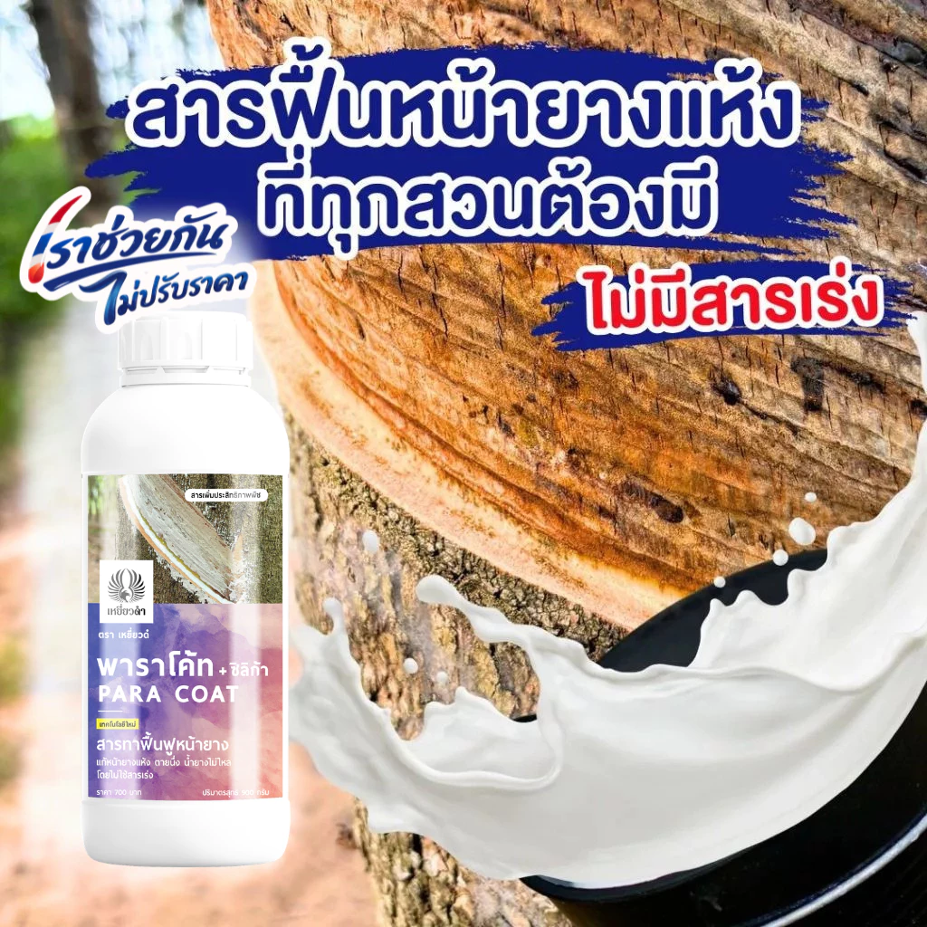 พาราโค้ท 900 g ยาทาหน้ายาง (แก้ยางตายนึ่ง) หน้ายางแห้ง จากยาเร่ง สารเร่งน้ำยาง ฟื้นฟูต้นจากราดำ ราสีชมพู ใช้แทนปูนแดง