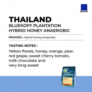 Bluekoff เมล็ดกาแฟ ไทย อราบิก้า 100% Bluekoff Plantation: Hybrid Anaerobic (1 ถุง บรรจุ 100 กรัม)