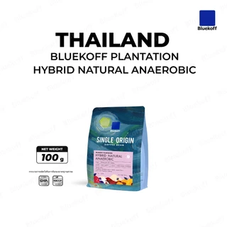 Bluekoff เมล็ดกาแฟ ไทย อราบิก้า 100% Bluekoff Plantation: Hybrid Anaerobic (1 ถุง บรรจุ 100 กรัม)