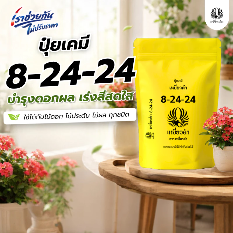 ปุ๋ยเม็ด ปุ๋ยเคมีสูตร 8-24-24 ขนาด 1 กก.ตราเหยี่ยวดำ สำหรับไม้ดอก ไม้ผลทุกชนิด เร่งดอก เพิ่มดอก ขยายผล เพิ่มรสหวาน