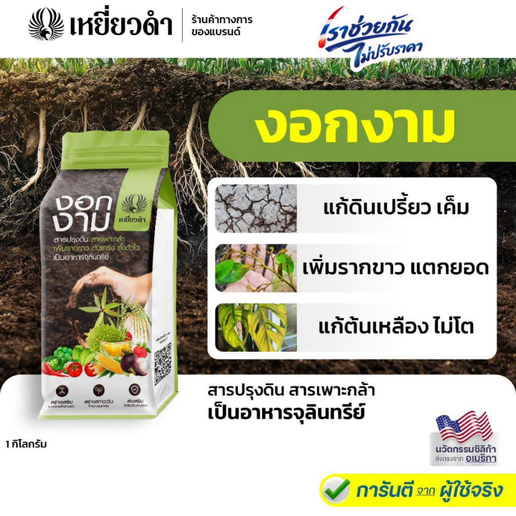 [สารเร่งราก เร่งใบ] สารปรับสภาพดิน แก้ดินแน่น ฟื้นต้น แก้ใบเหลืองให้แตกใบใหม่ แก้รากเน่า งอกงาม 1กก. ปุ๋ยเหยี่ยวดำ