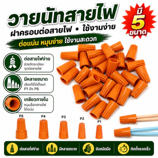 100 ชิ้น วายนัท วายนัทจับสายไฟ วายนัทต่อสายไฟ Wire Nut connectors P1 P2 P3 P4 P6