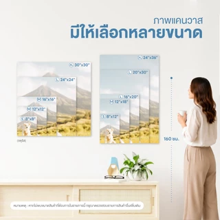 Photobook: รูปติดผนัง ภาพแคนวาส (8x8 ถึง 18x12) แบบหนา - ติดผนังได้โดยไม่เจาะ