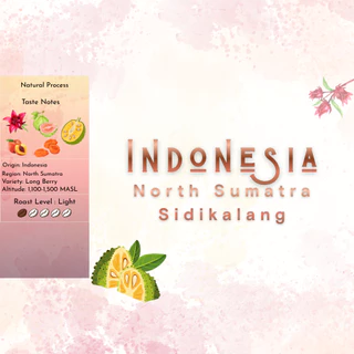 เมล็ดกาแฟคั่วอ่อน Indonesia North Sumatra Sidikalang Natural | Long Berry - BREWNEST Roaster Lab