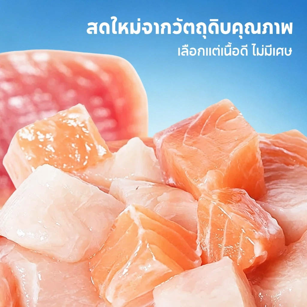 สินค้าใหม่ กระป๋องทูน่าเนื้อแดงแมว PET RECORD 430g 3รส โปรตีน≥30% น้ำซุปช่วยดื่มน้ำ โอเมก้า3 บำรุงขน แมวทุกวัย thumbnail 5