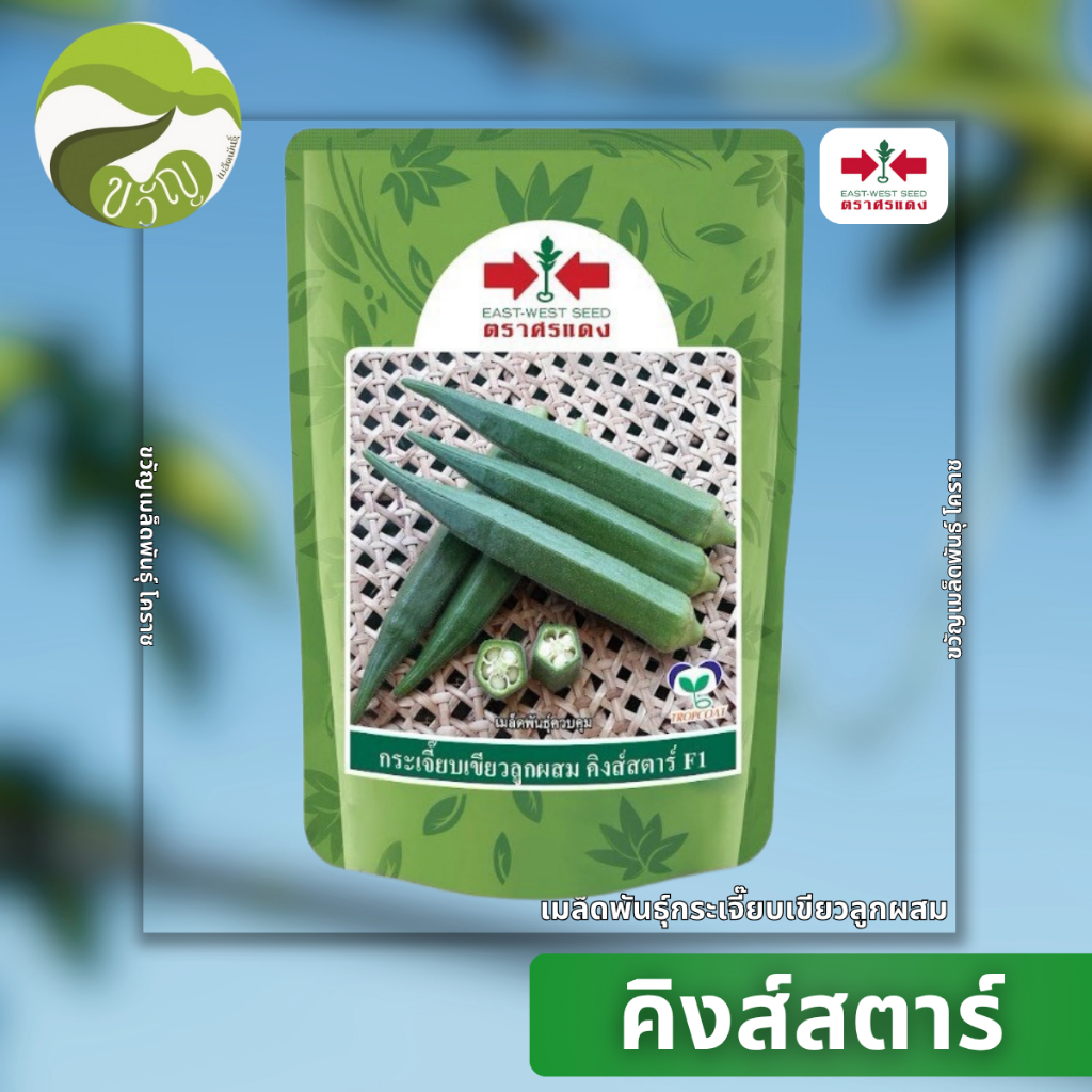 คิงส์สตาร์ เมล็ดพันธุ์กระเจี๊ยบ กระเจี๊ยบลูกผสม ตราศรแดง ขนาด 100 กรัม