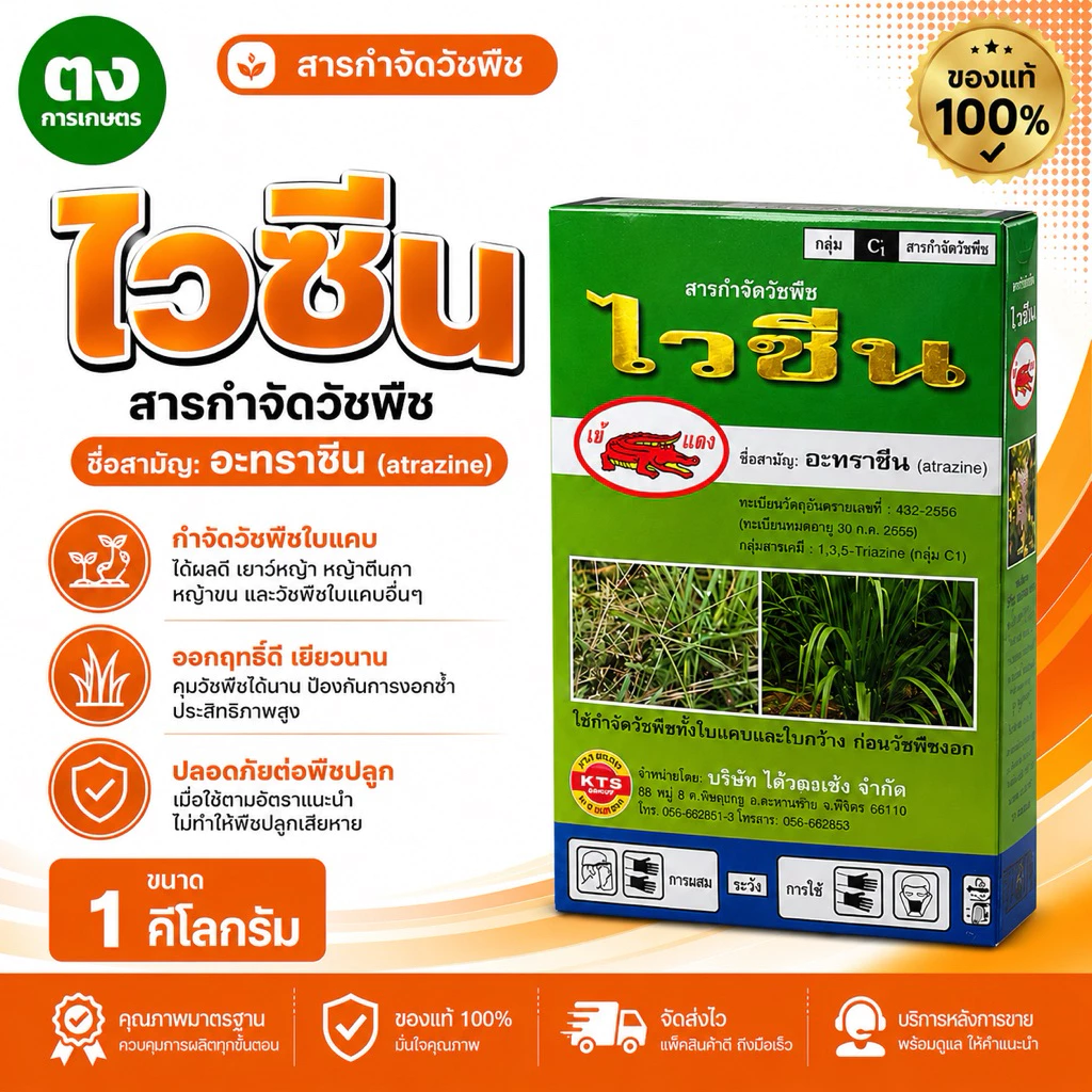 ไวซีน เข้แดง อะทราซีน 80% WP 1 กิโลกรัม ของแท้ 100% สารกำจัดวัชพืช กำจัดหญ้าใบกว้างและกก