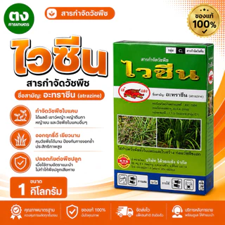 ไวซีน เข้แดง อะทราซีน 80% WP 1 กิโลกรัม ของแท้ 100% สารกำจัดวัชพืช กำจัดหญ้าใบกว้างและกก