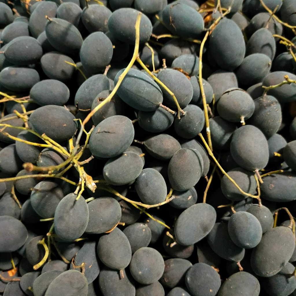 ลูกหยีสดจากต้นไม่ตาก 1 กิโลกรัม