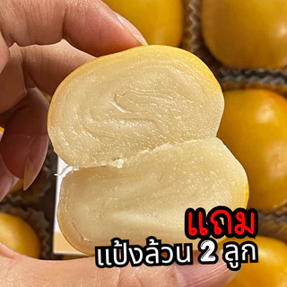 เทศกาล สารทจีน ขนมเปี๊ยะลาวา 2 กล่อง แถมแป้งล้วน 2 ลูก BY เปี๊ยะปังปัง