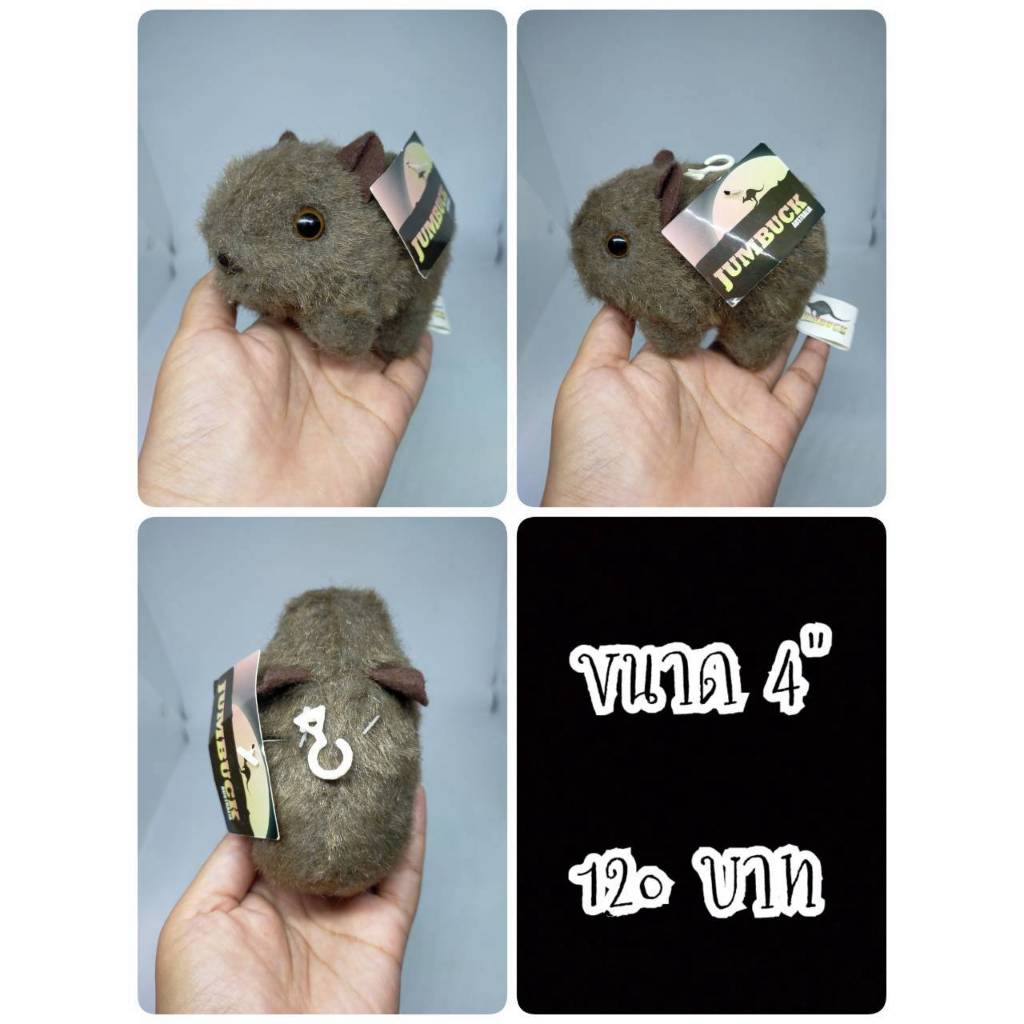 Wombat#วอมแบต#Jumbuck Australia#Walter the Wombat#ตุ๊กตาญี่ปุ่นมือสอง
