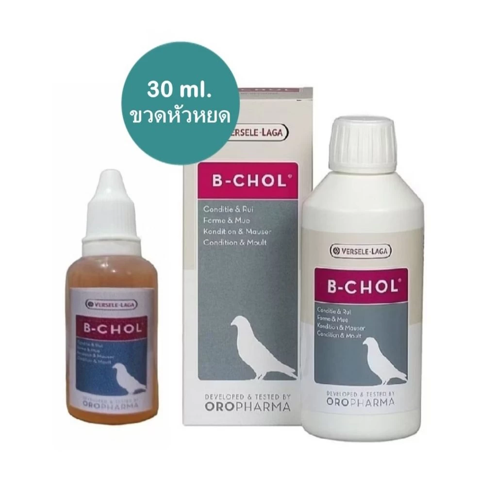 B - CHOL ( แบ่ง ) สนับสนุน นก ไก่ ผลัดขน ถ่ายเทของเสียออกจากร่างกาย ขวดหัวหยด