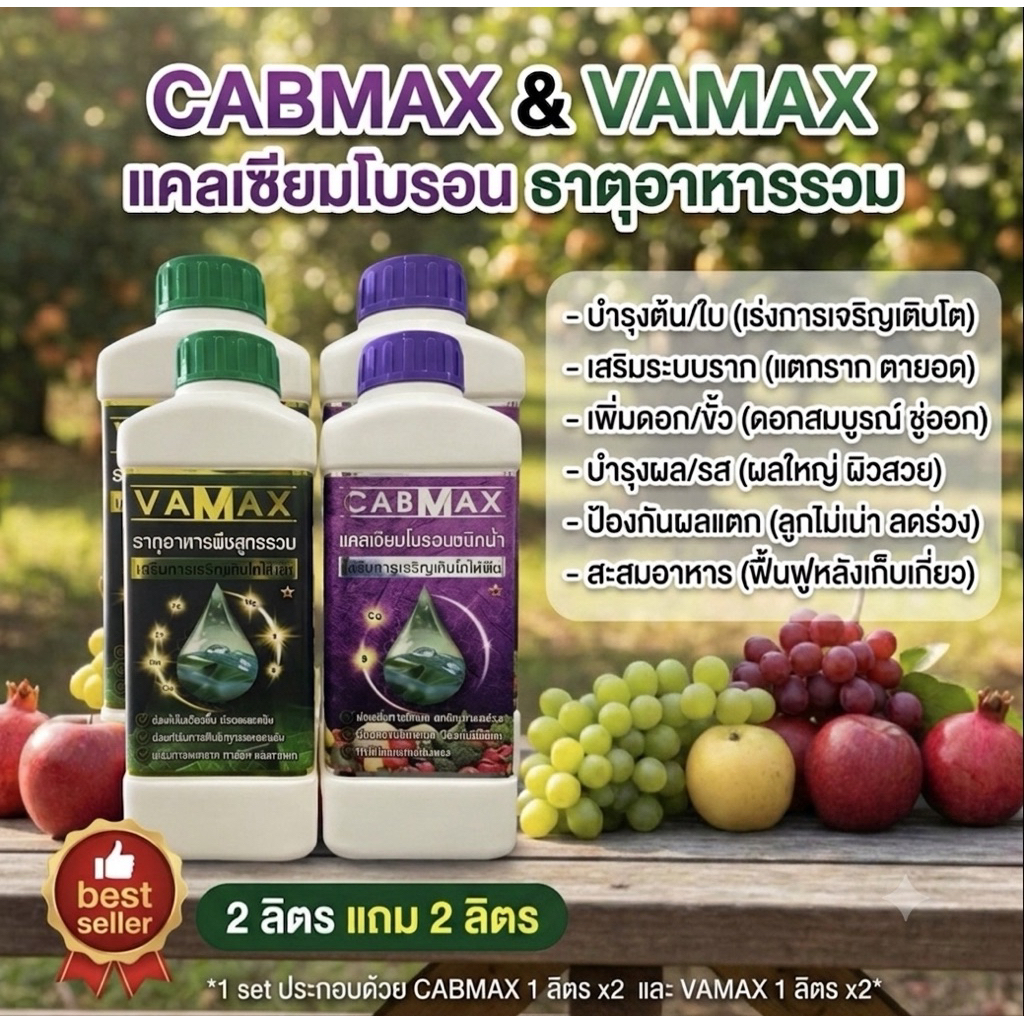 (C2+V2)2 ลิตรแถมฟรี 2 ลิตรCABMAXแคลเซี่ยมโบรอน+VAMAXธาตุอาหารรวม7ชนิด