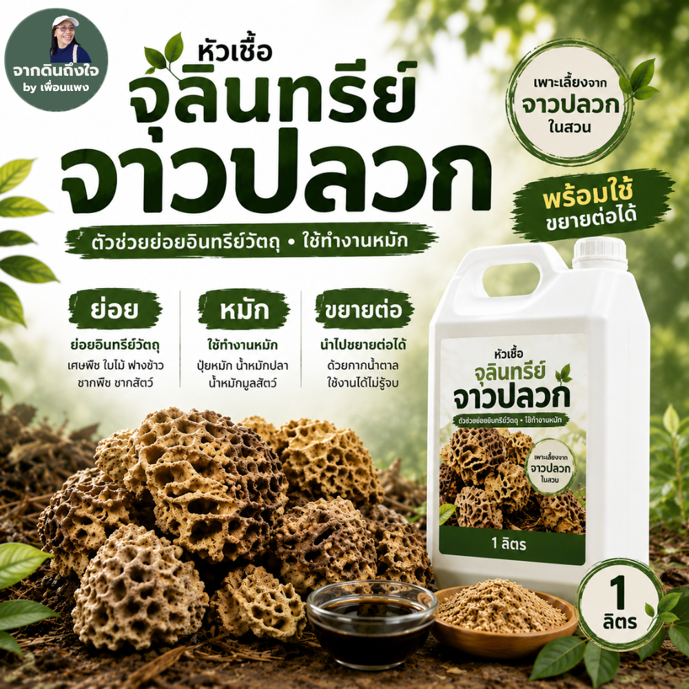 น้ำหมักจาวปลวก หัวเชื้อจุลินทรีย์ 1 ลิตร พร้อมใช้ ขยายต่อได้ งานหมัก ย่อยอินทรียวัตถุ บำรุงดินและพืช