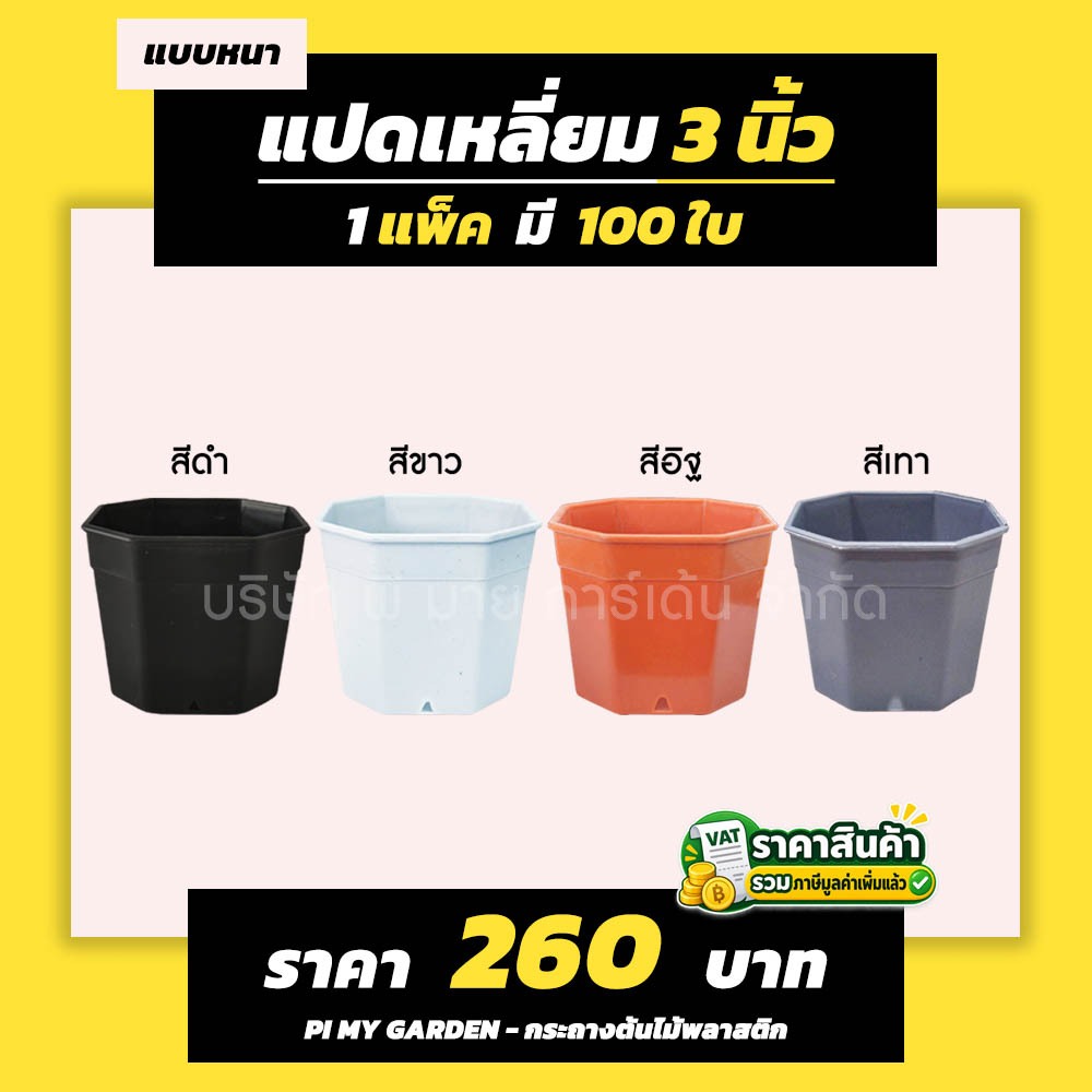 กระถางแคคตัส ทรงแปดเหลี่ยม 3 นิ้ว สีขาว สีดำ สีเทา สีอิฐ แพ็ค 100 ใบ
